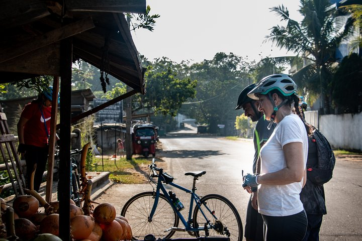 Kingdom Trail Cycling Tour from Colombo - Photo 1 of 9